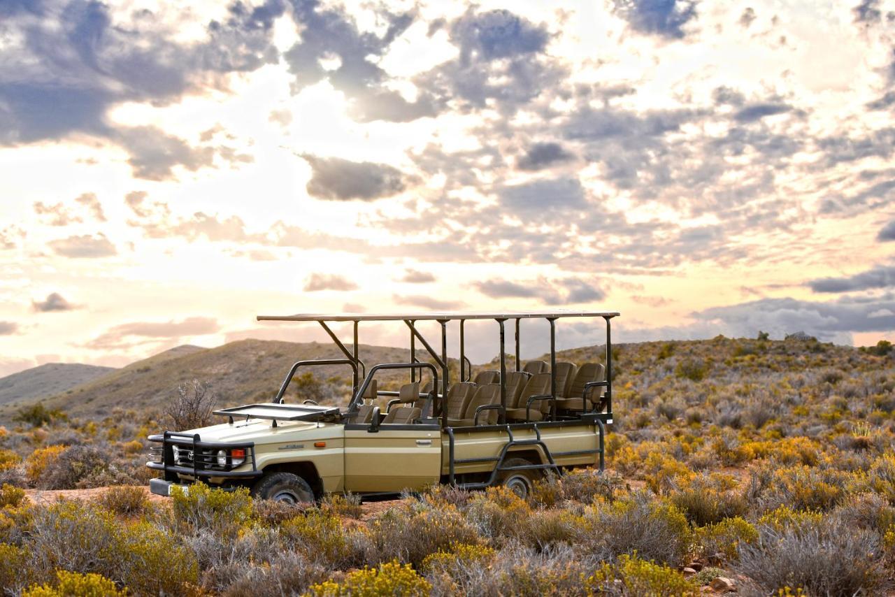 Mont Eco Game Reserve Montagu Kültér fotó