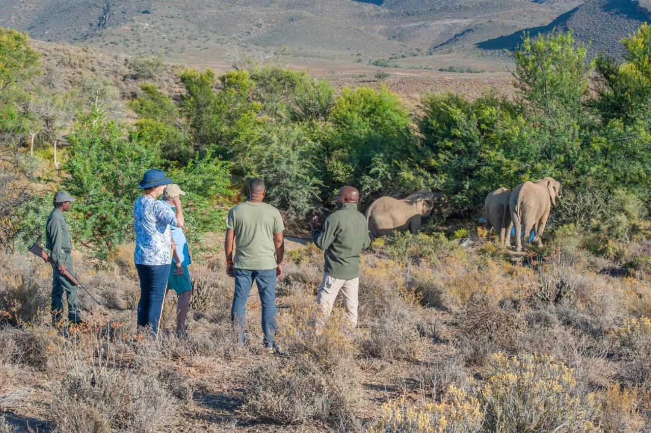 Mont Eco Game Reserve Montagu Kültér fotó