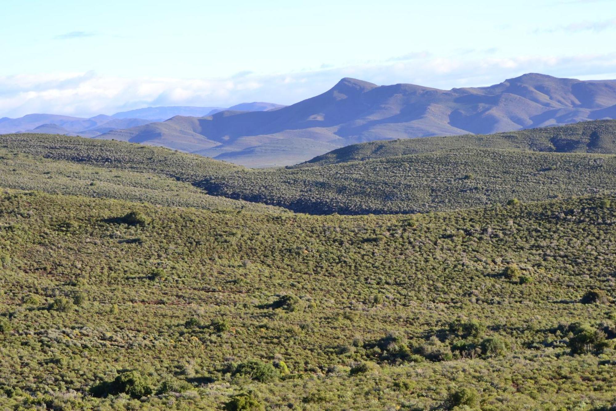 Mont Eco Game Reserve Montagu Kültér fotó